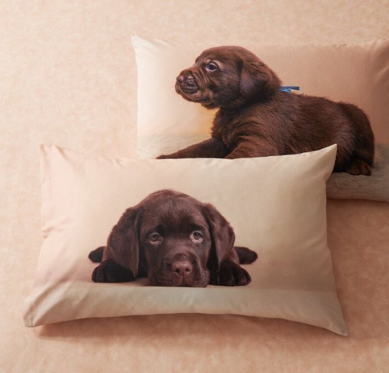 Vacchetti | Completo Copripiumone 1 Piazza Chocolate Labrador Bassetti Cotone 